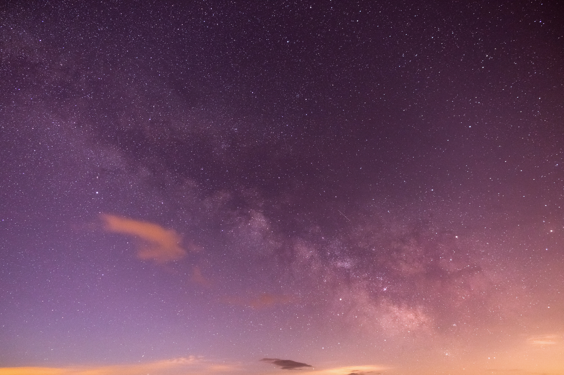 Purple and White Stars